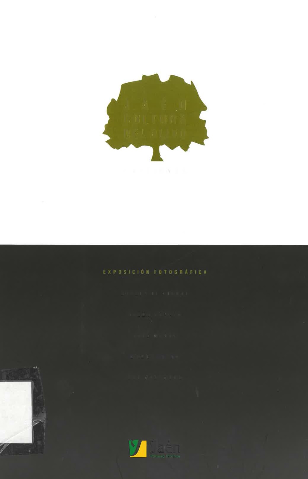Imagen de portada del libro Jaén, la cultura del olivo.