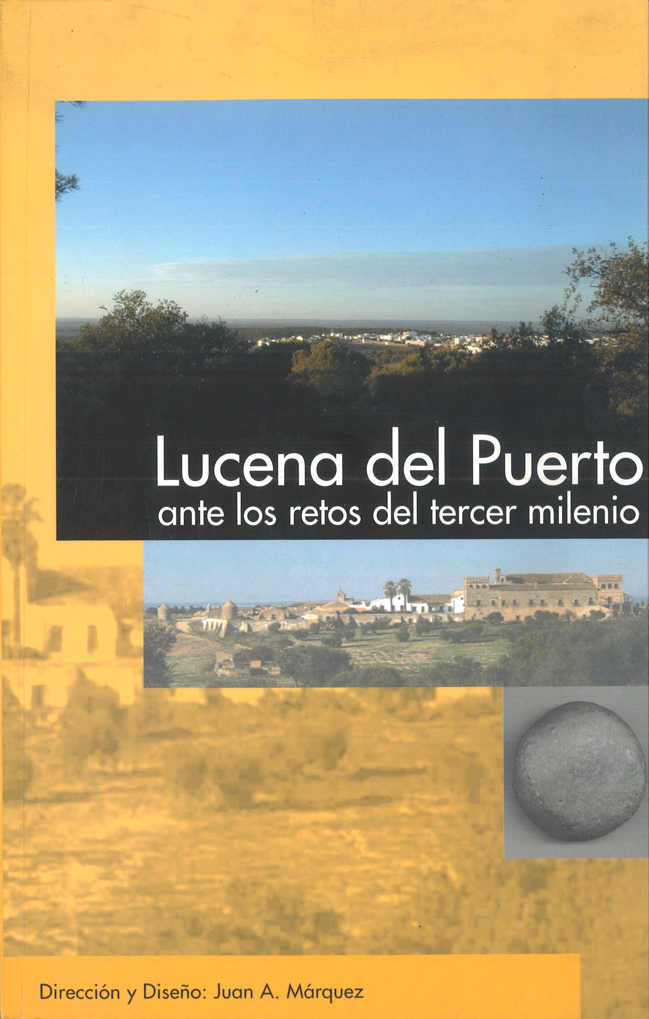 Imagen de portada del libro Lucena del Puerto ante los retos del tercer milenio