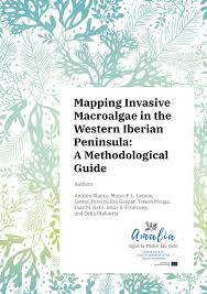 Imagen de portada del libro Mapping invasive macroalgae in the Western Iberian Peninsula
