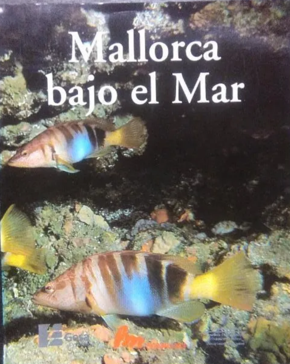 Imagen de portada del libro Mallorca bajo el mar