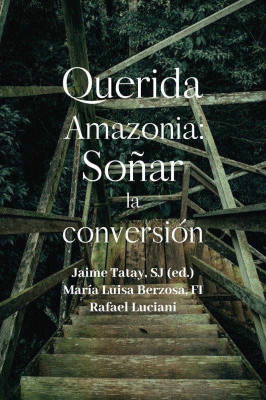 Imagen de portada del libro Querida Amazonia