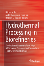 Imagen de portada del libro Hydrothermal Processing in Biorefineries Production of Bioethanol and High Added-Value Compounds of Second and Third Generation Biomass