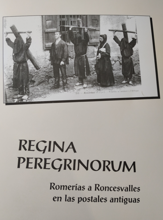 Imagen de portada del libro Regina peregrinorum