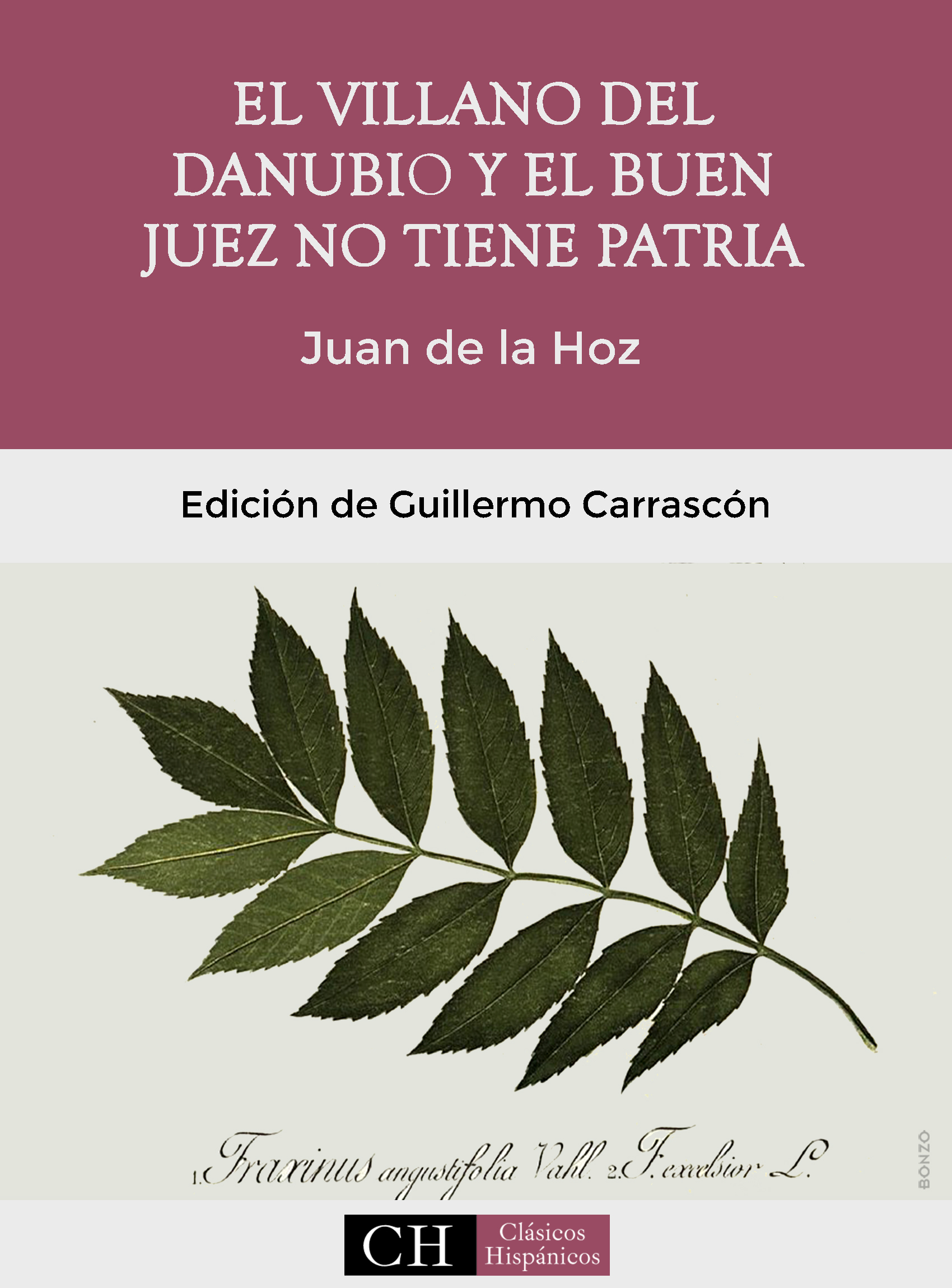 Imagen de portada del libro El villano del Danubio y el buen juez no tiene patria