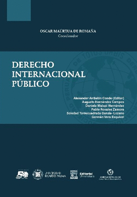 Imagen de portada del libro Derecho Internacional Público