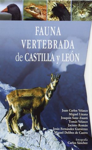 Imagen de portada del libro Fauna vertebrada de Castilla y León