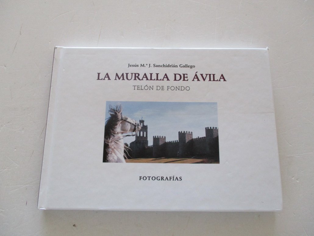 Imagen de portada del libro La muralla de Ávila