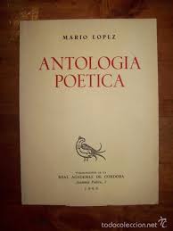 Imagen de portada del libro Antología poética