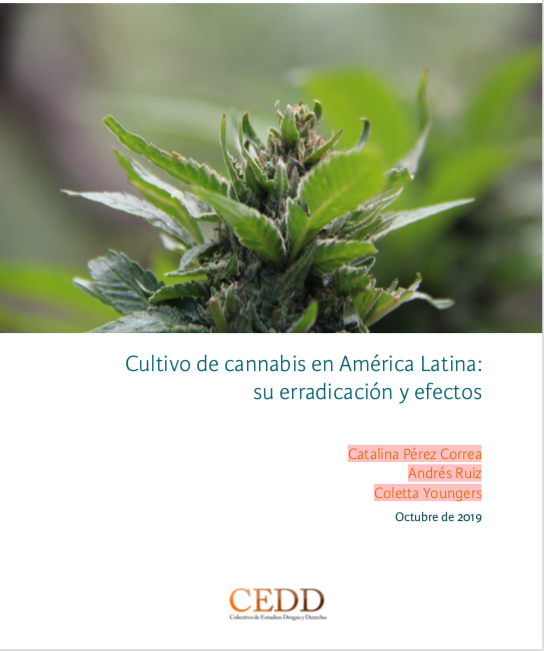 Imagen de portada del libro Cultivo de cannabis en América Latina