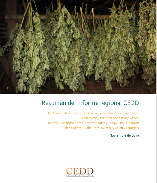 Imagen de portada del libro Resumen del Informe regional CEDD