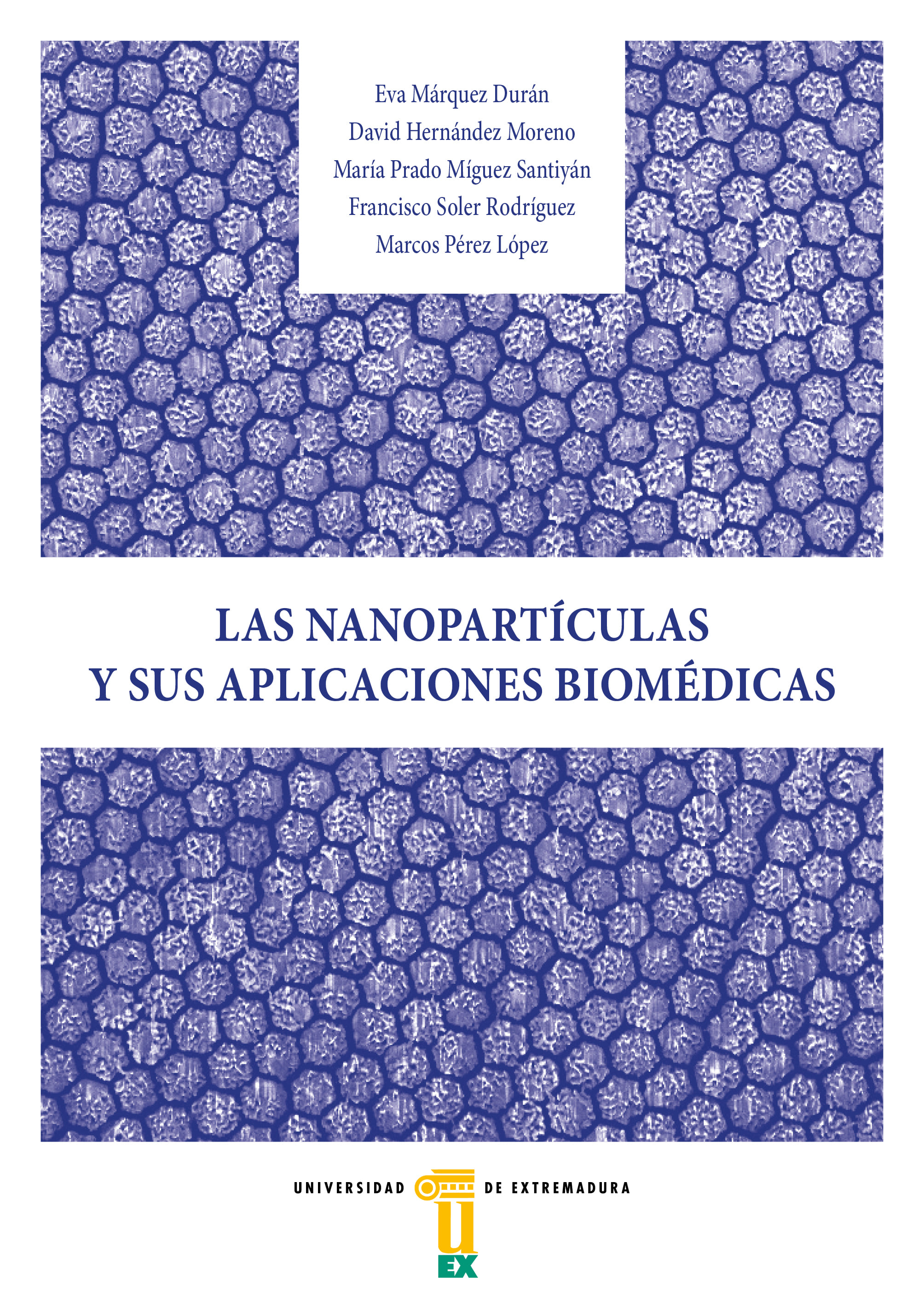 Imagen de portada del libro Las nanopartículas y sus aplicaciones