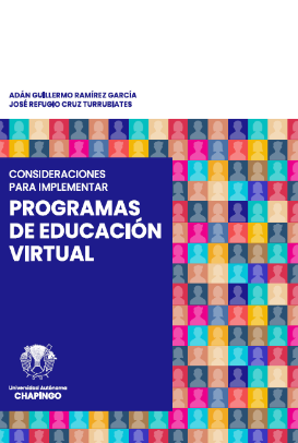 Imagen de portada del libro Consideraciones para implementar programas de educación virtual