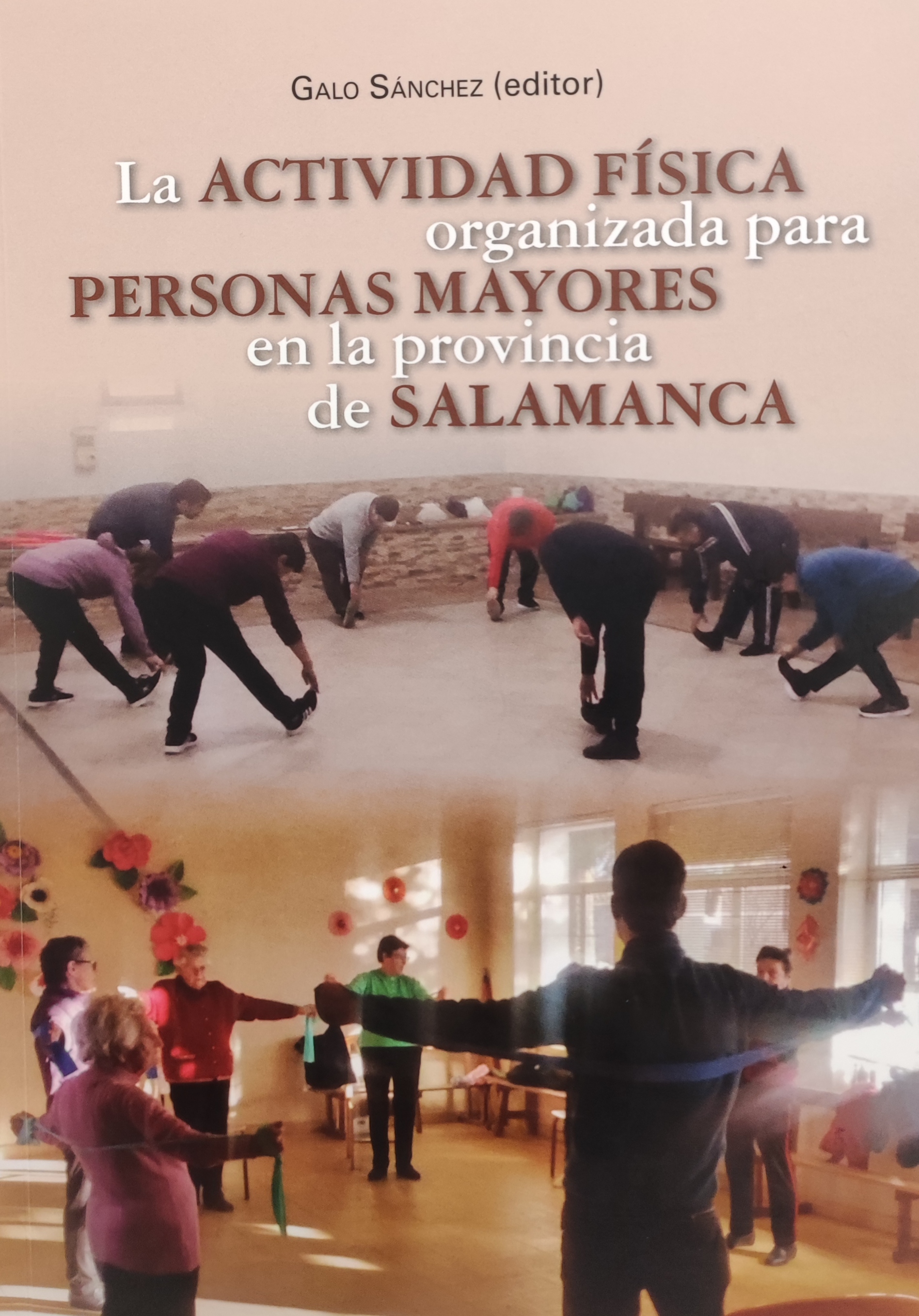 Imagen de portada del libro La actividad física organizada para personas mayores en la provincia de Salamanca
