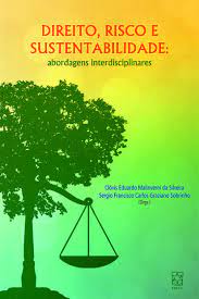 Imagen de portada del libro Direito, risco e sustentabilidade
