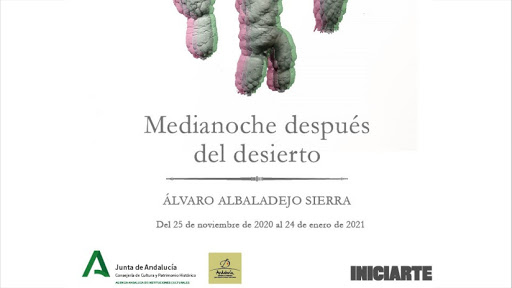 Imagen de portada del libro Medianoche después del desierto