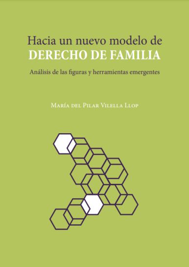 Imagen de portada del libro Hacia un nuevo modelo de derecho de familia