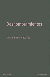 Imagen de portada del libro Desnombramientos