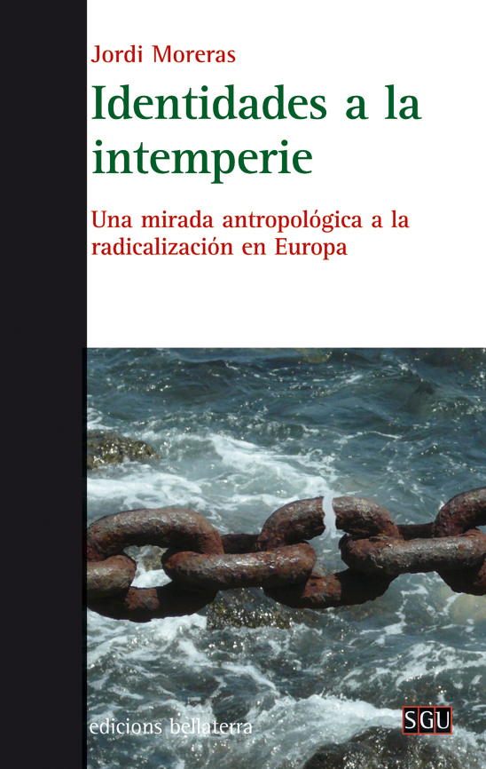 Imagen de portada del libro Identidades a la intemperie