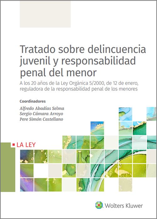 Imagen de portada del libro Tratado sobre delincuencia juvenil y responsabilidad penal del menor