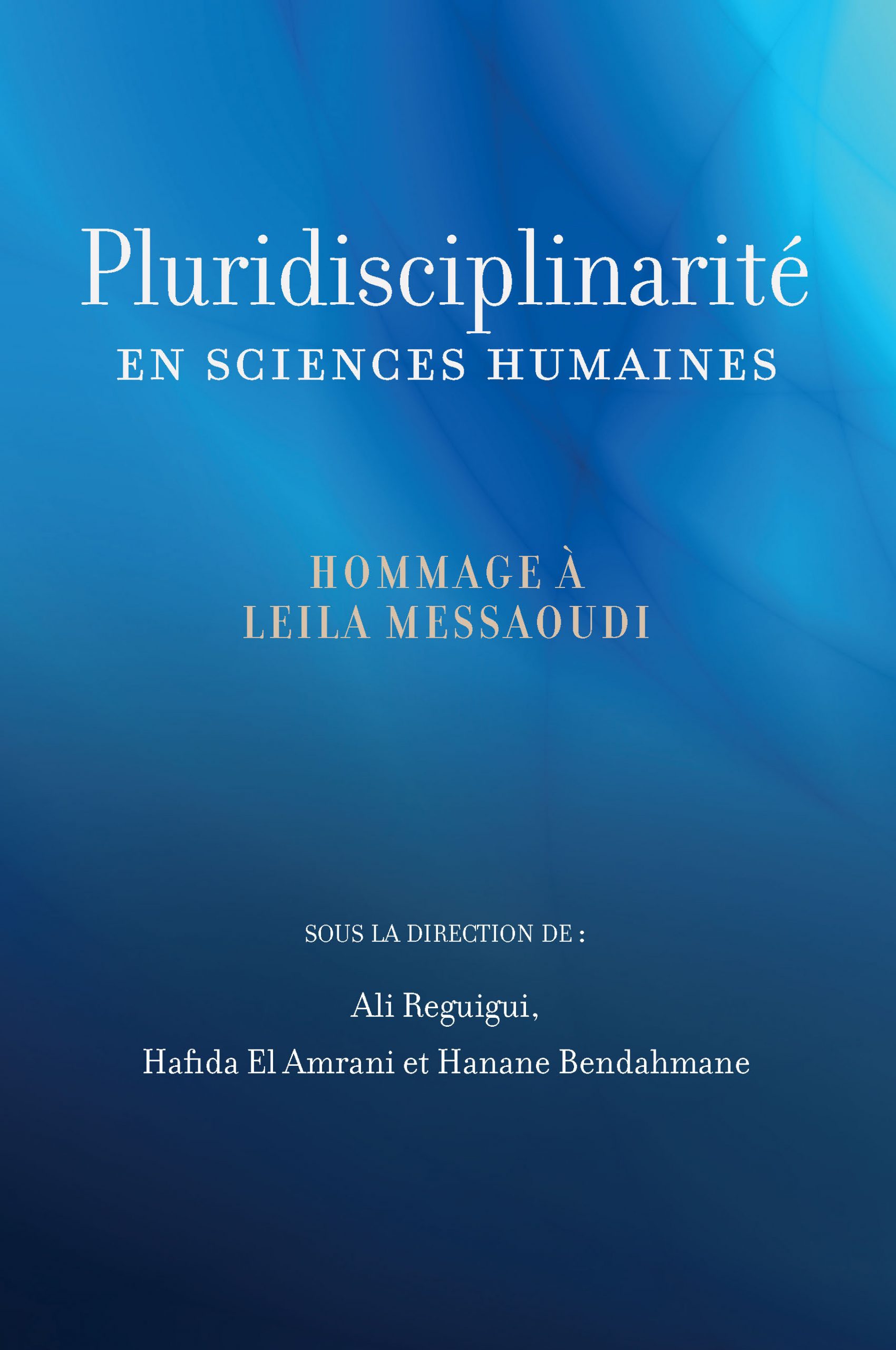 Imagen de portada del libro Pluridisciplinarité en sciences humaines