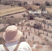 Imagen de portada del libro Los estudios de Román