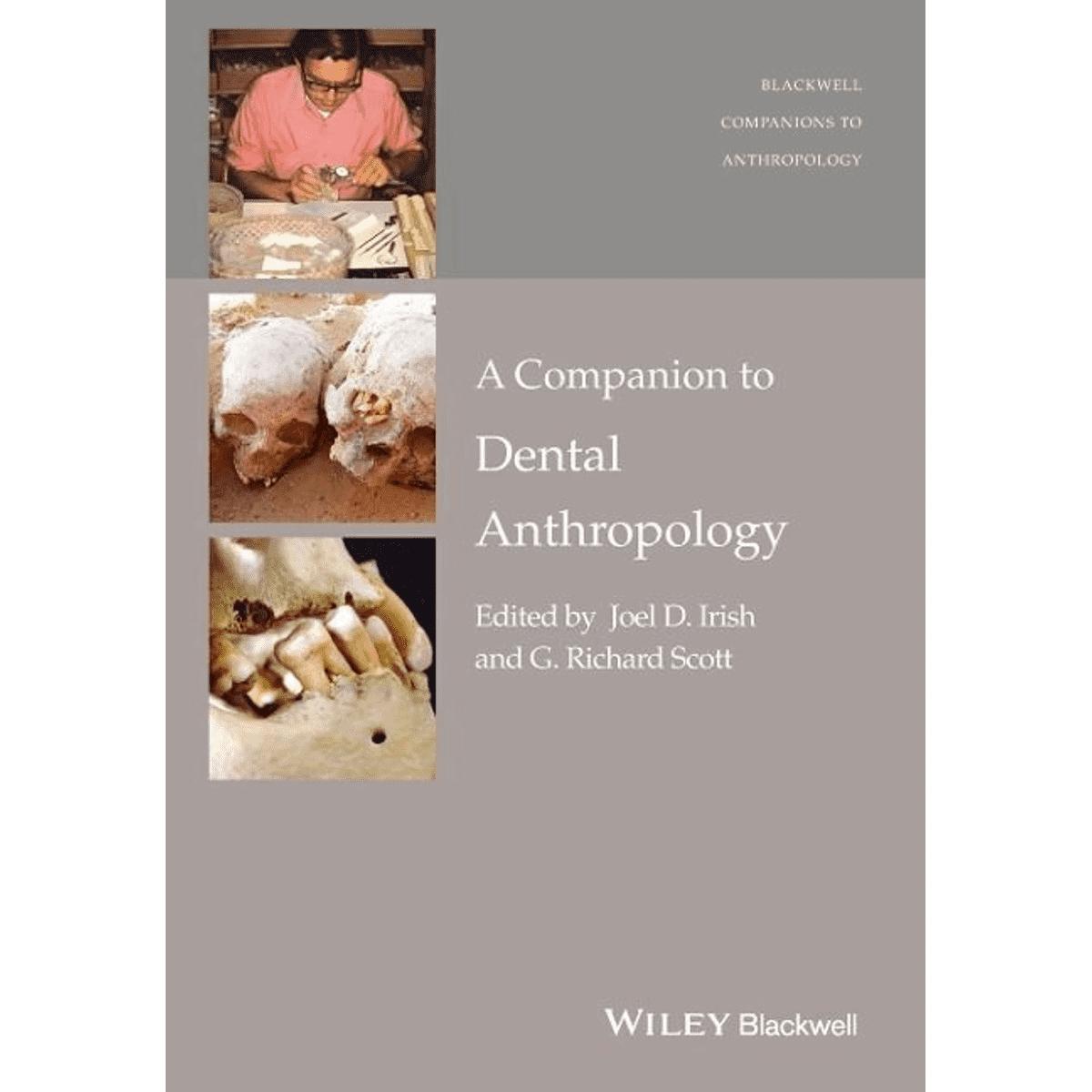 Imagen de portada del libro A companion to dental anthropology [Recurso electrónico].