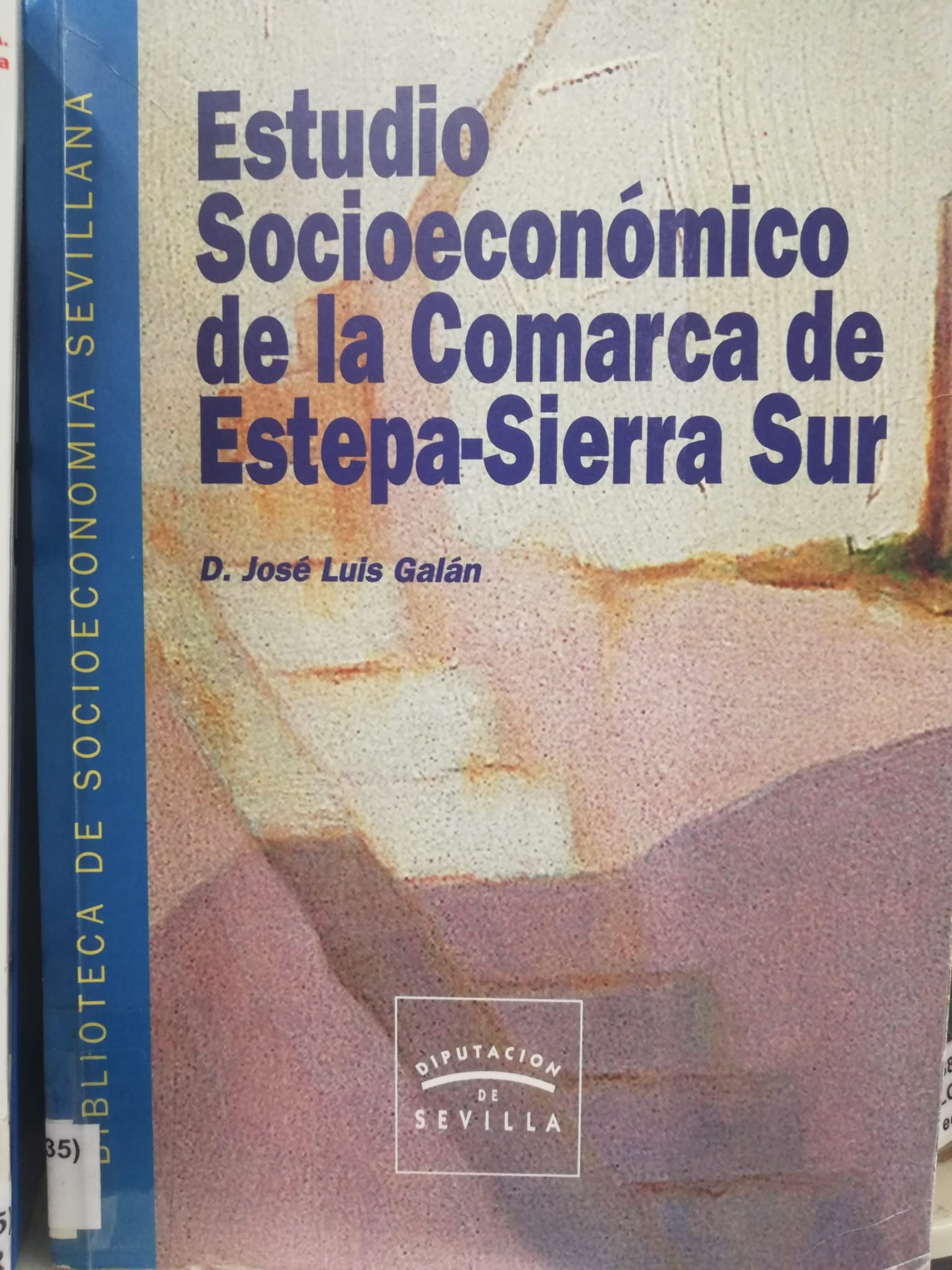 Imagen de portada del libro Estudio socioecomómico de la comarca de Estepa-Sierra Sur