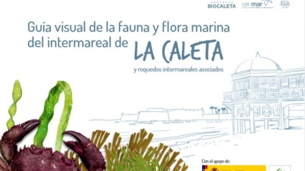 Imagen de portada del libro Guía visual de la fauna y flora marina del intermareal de La Caleta y roquedos intermareales asociados