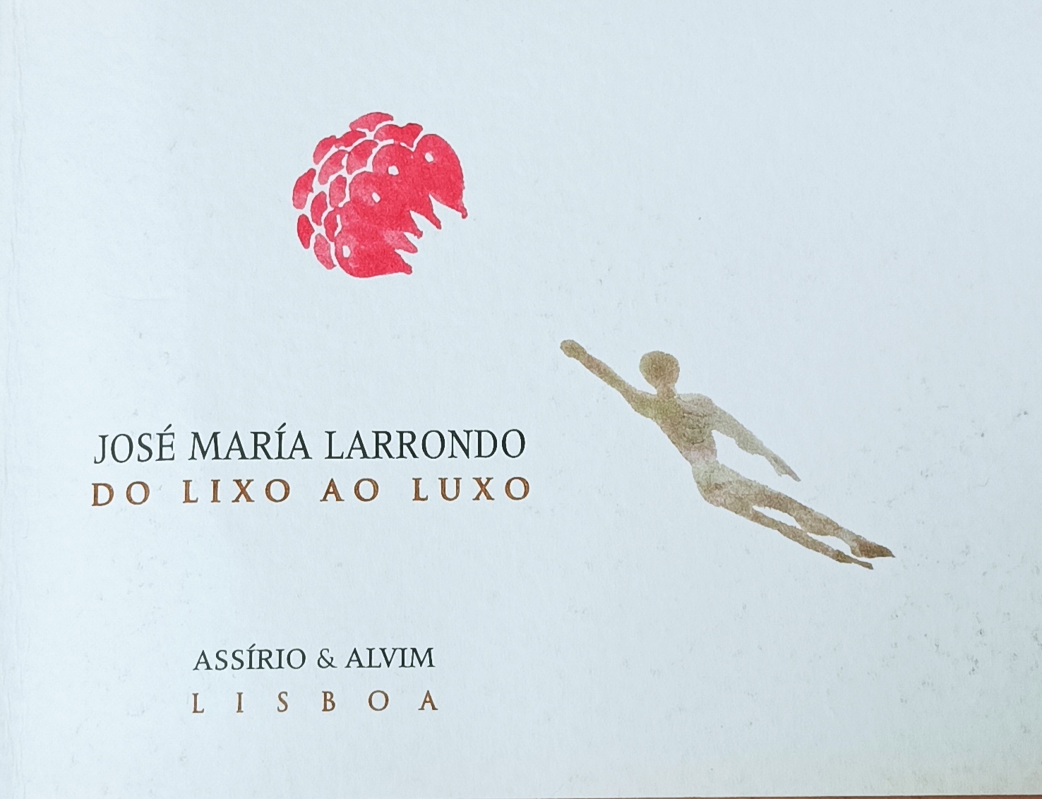 Imagen de portada del libro Do Lixo Ao Luxo