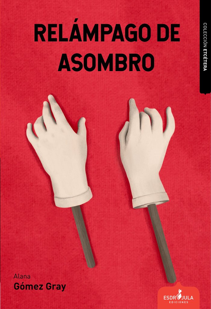 Imagen de portada del libro Relámpago de asombro