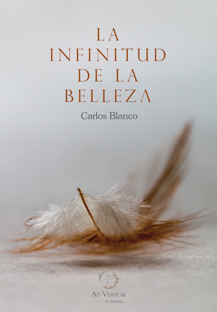 Imagen de portada del libro La infinitud de la belleza