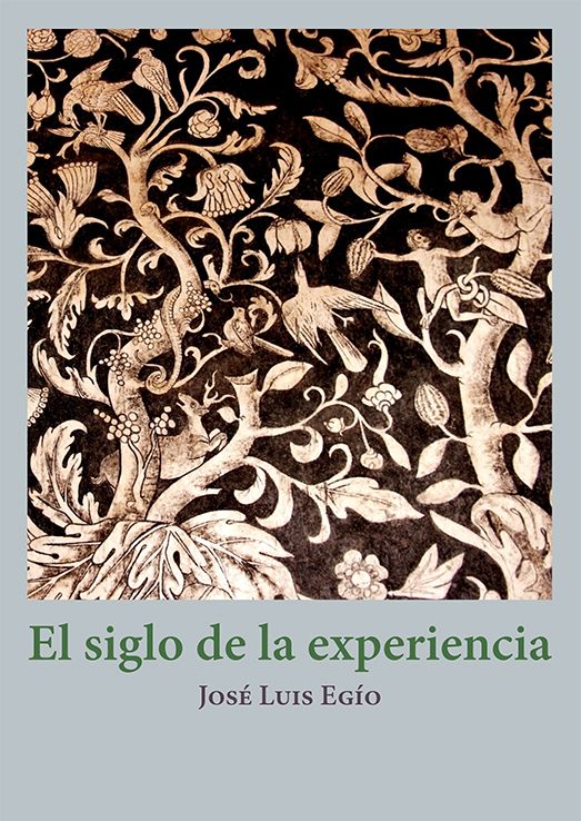 Imagen de portada del libro El siglo de la experiencia