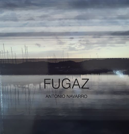 Imagen de portada del libro Fugaz