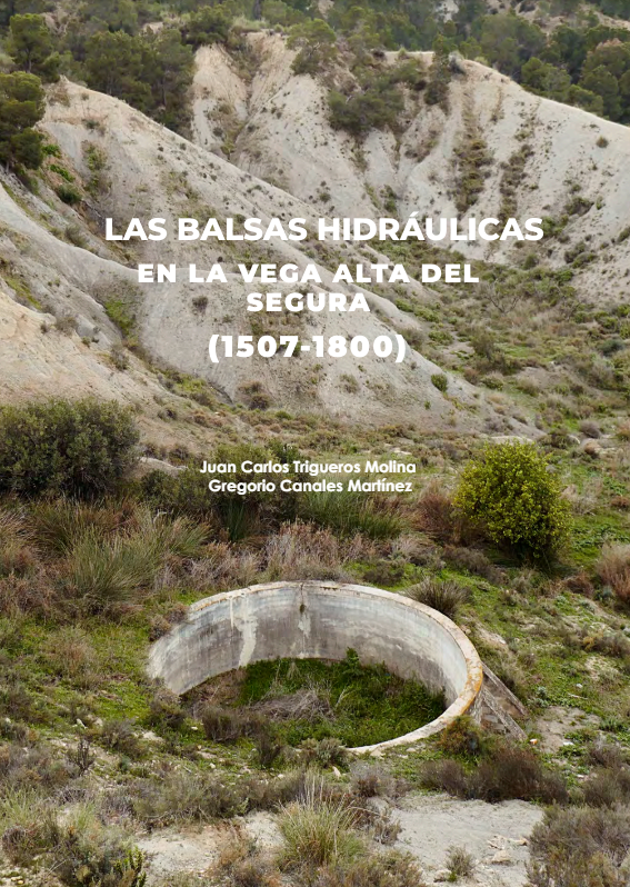 Imagen de portada del libro Las balsas hidráulicas en la Vega Alta del Segura