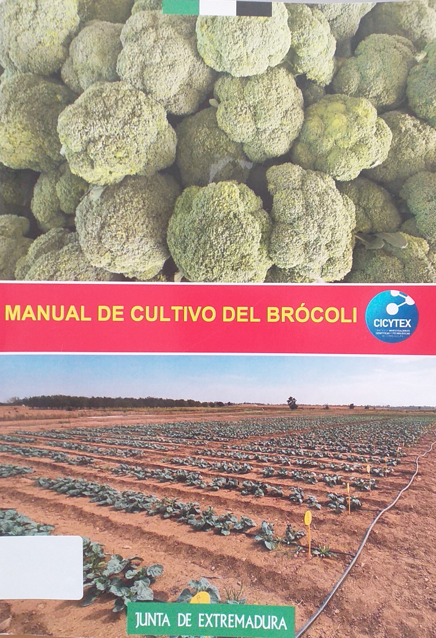 Imagen de portada del libro Manual de cultivo del brócoli