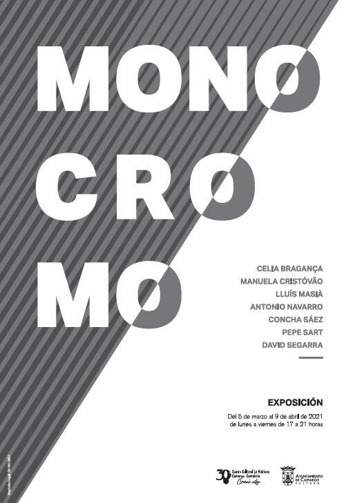 Imagen de portada del libro Monocromo