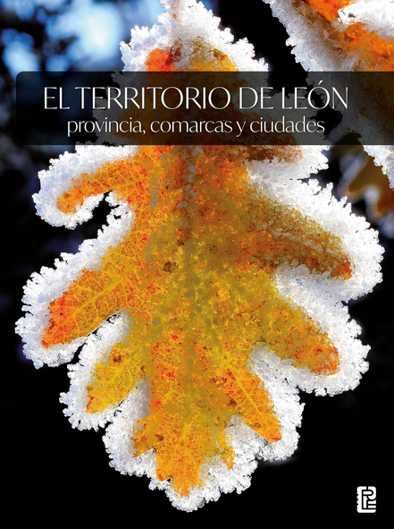 Imagen de portada del libro El territorio de León