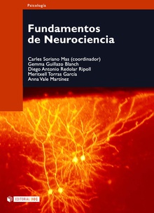 Imagen de portada del libro Fundamentos de neurociencia