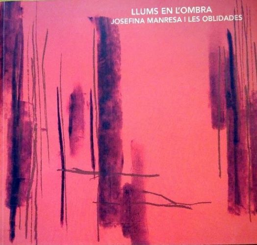 Imagen de portada del libro Llums en l'ombra