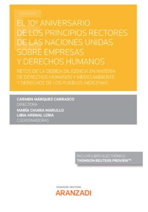 Imagen de portada del libro El 10º aniversario de los principios rectores de las Naciones Unidas sobre empresas y derechos humanos