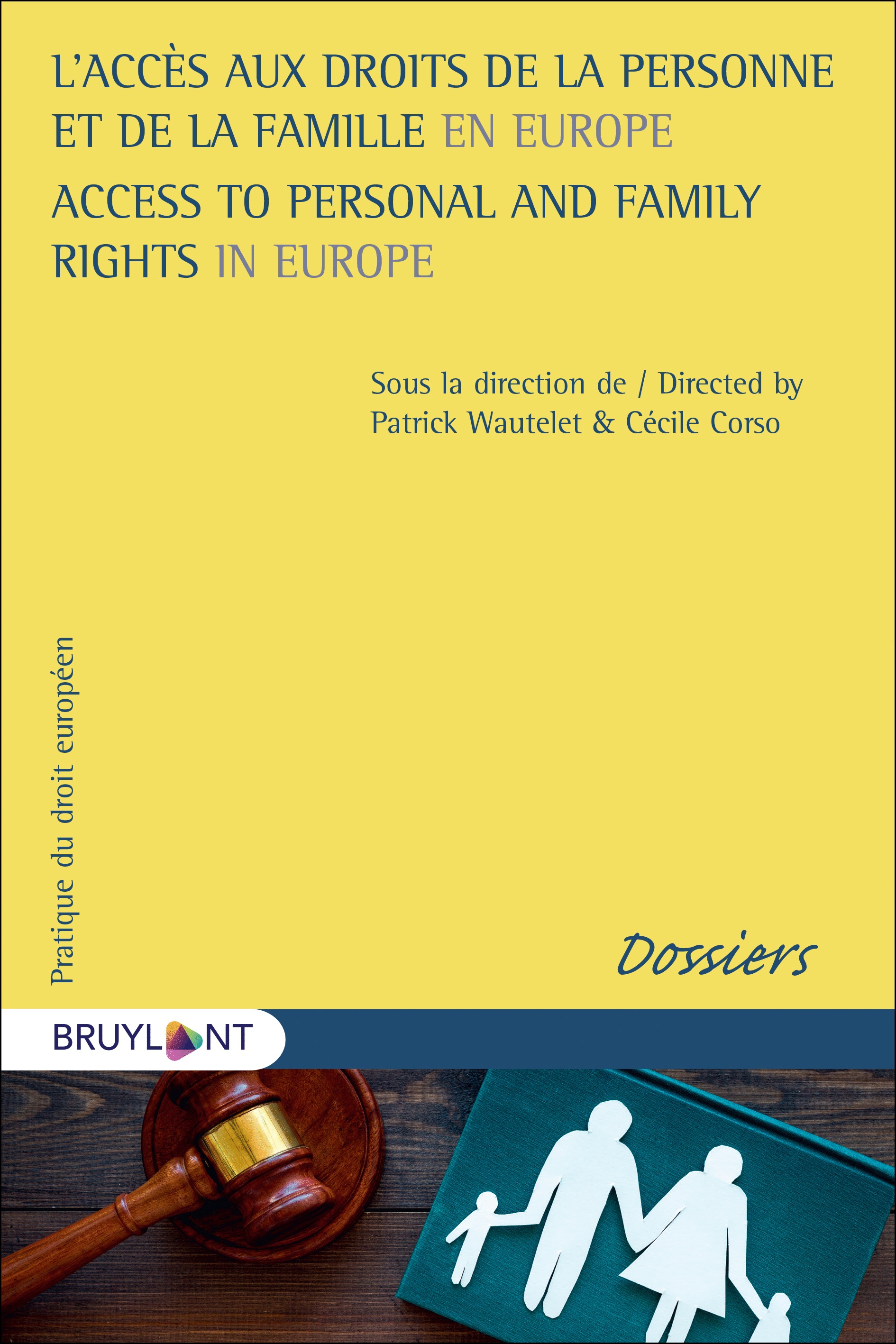Imagen de portada del libro L'accès aux droits de la personne et de la famille en Europe