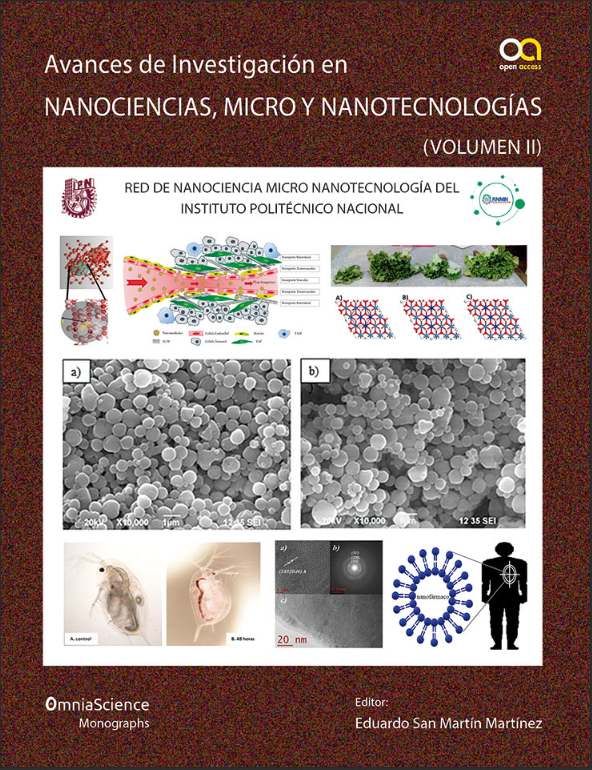 Imagen de portada del libro Avances de investigación en Nanociencias, Micro y Nanotecnologías 2