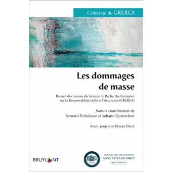 Imagen de portada del libro Les dommages de masse