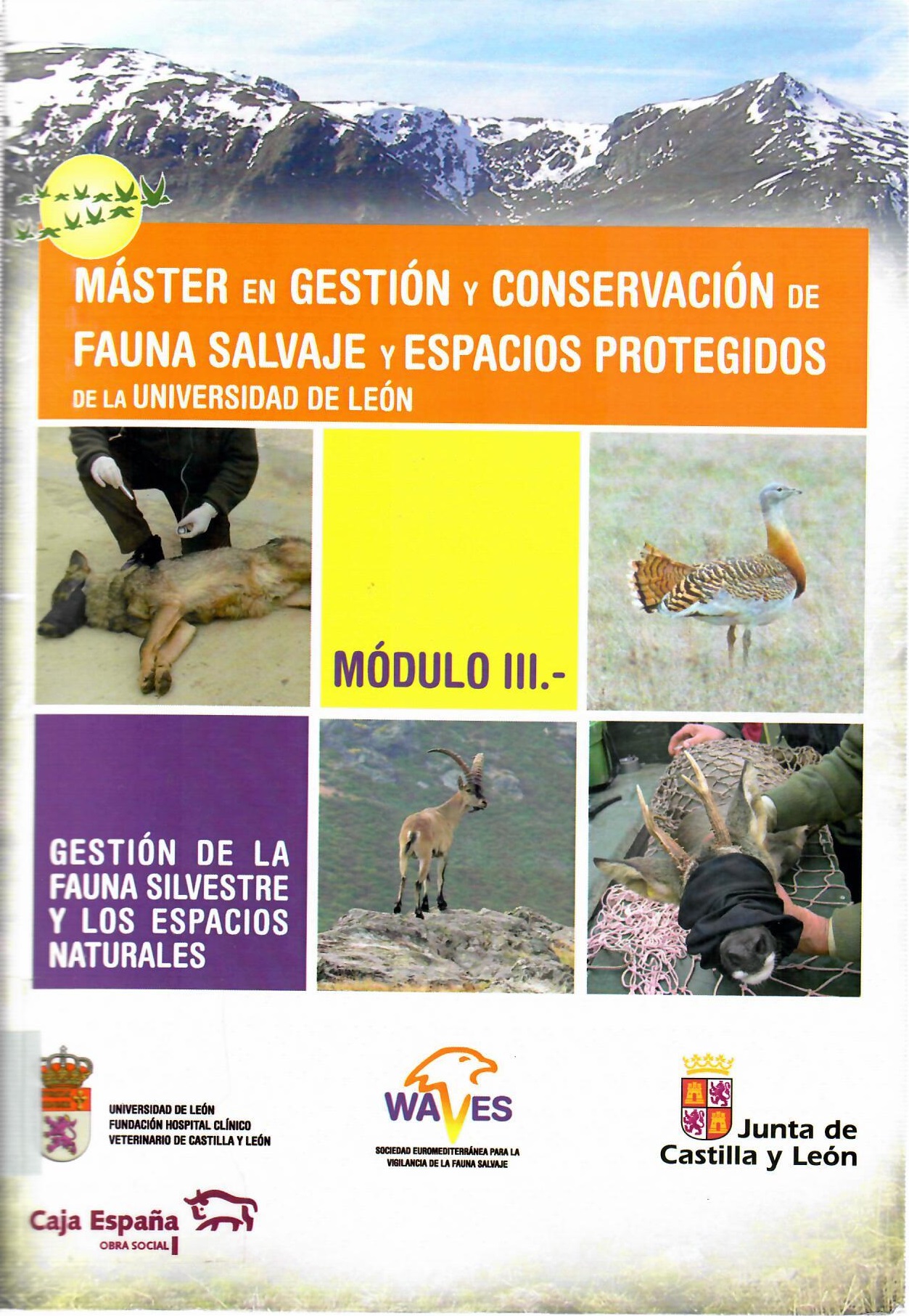 Imagen de portada del libro Master en Gestión y Conservación de Fauna Salvaje y Espacios Protegidos. Módulo III, Gestión de la fauna salvaje y los espacios naturales