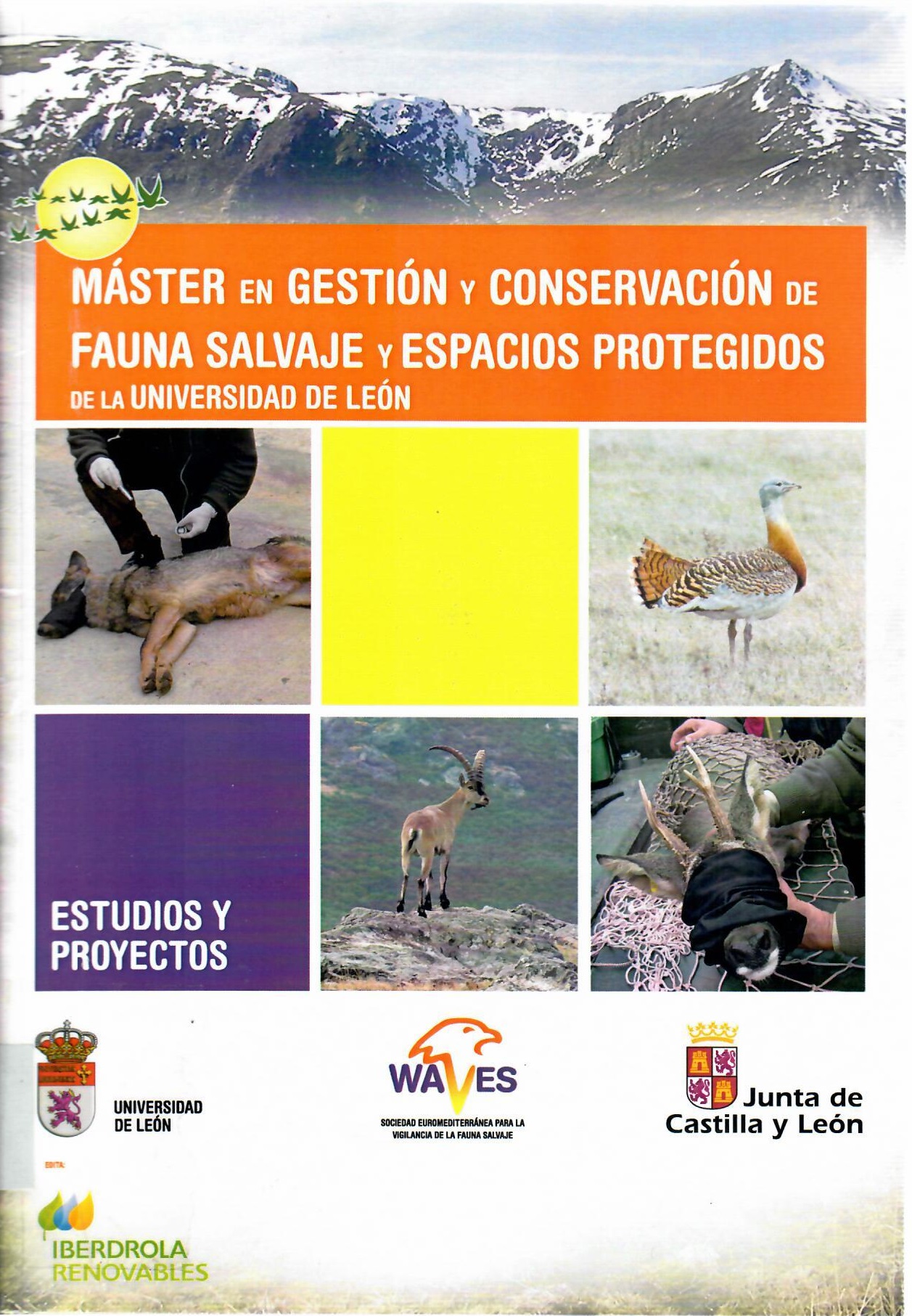 Imagen de portada del libro Master en Gestión y Conservación de Fauna Salvaje y Espacios Protegidos de la Universidad de León. Estudios y proyectos