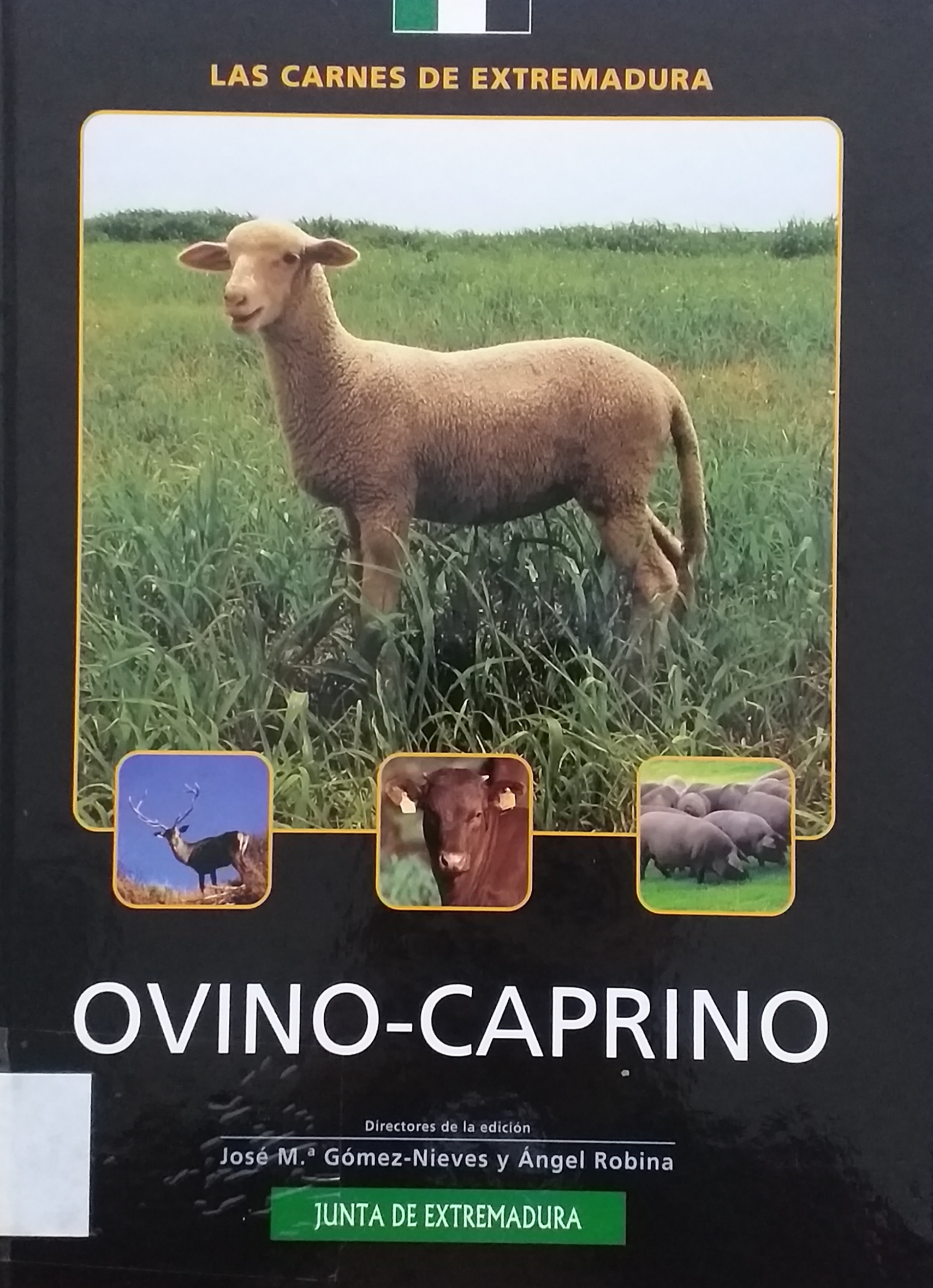 Imagen de portada del libro Ovino y caprino