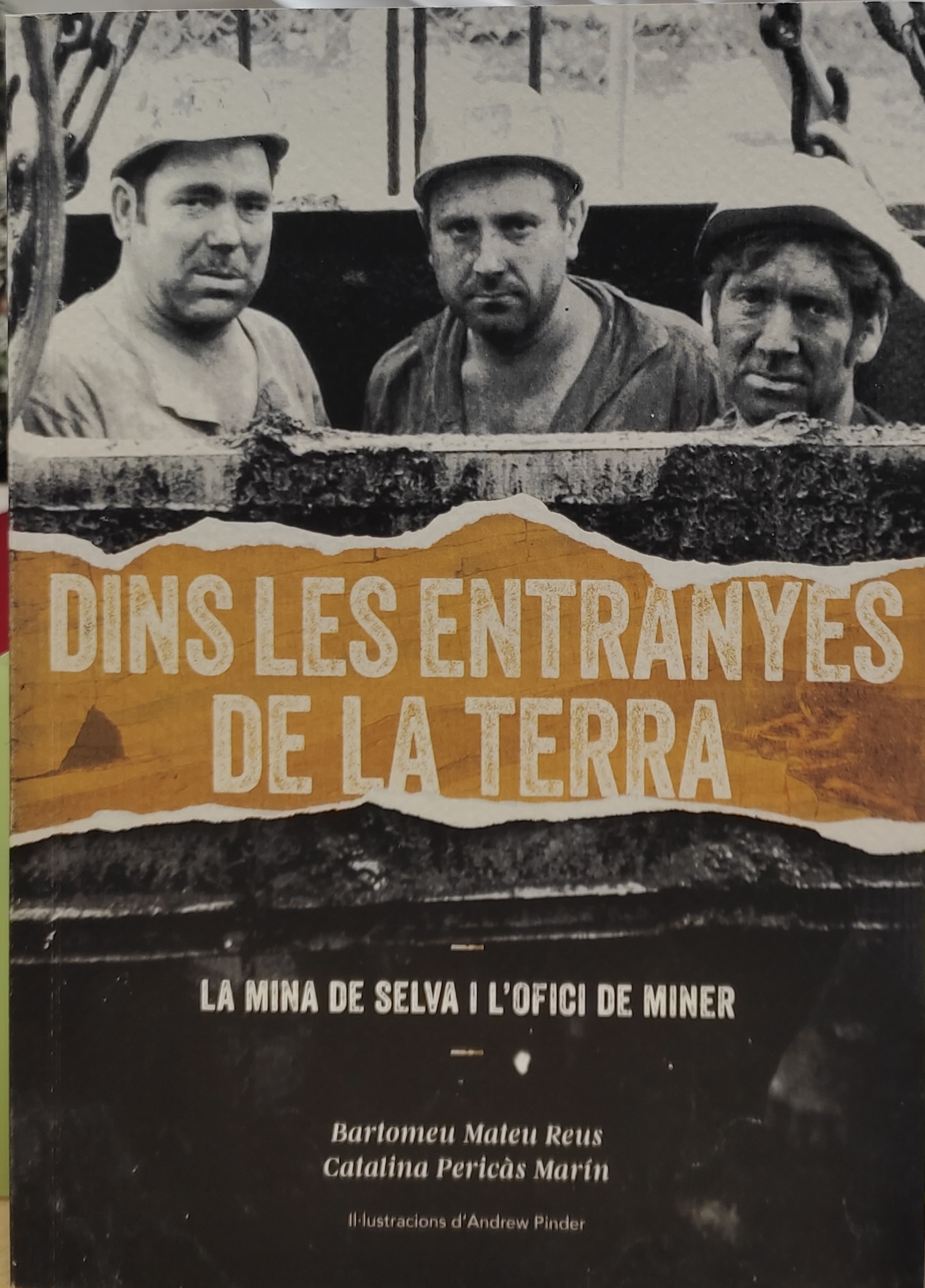 Imagen de portada del libro Dins les entranyes de la terra