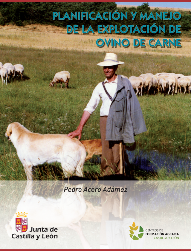Imagen de portada del libro Planificación y manejo de la explotación de carne