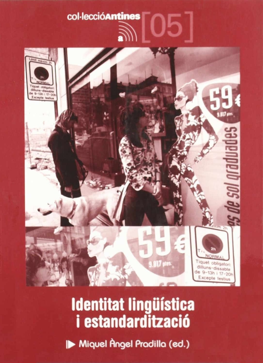 Imagen de portada del libro Identitat lingüística i estandardització