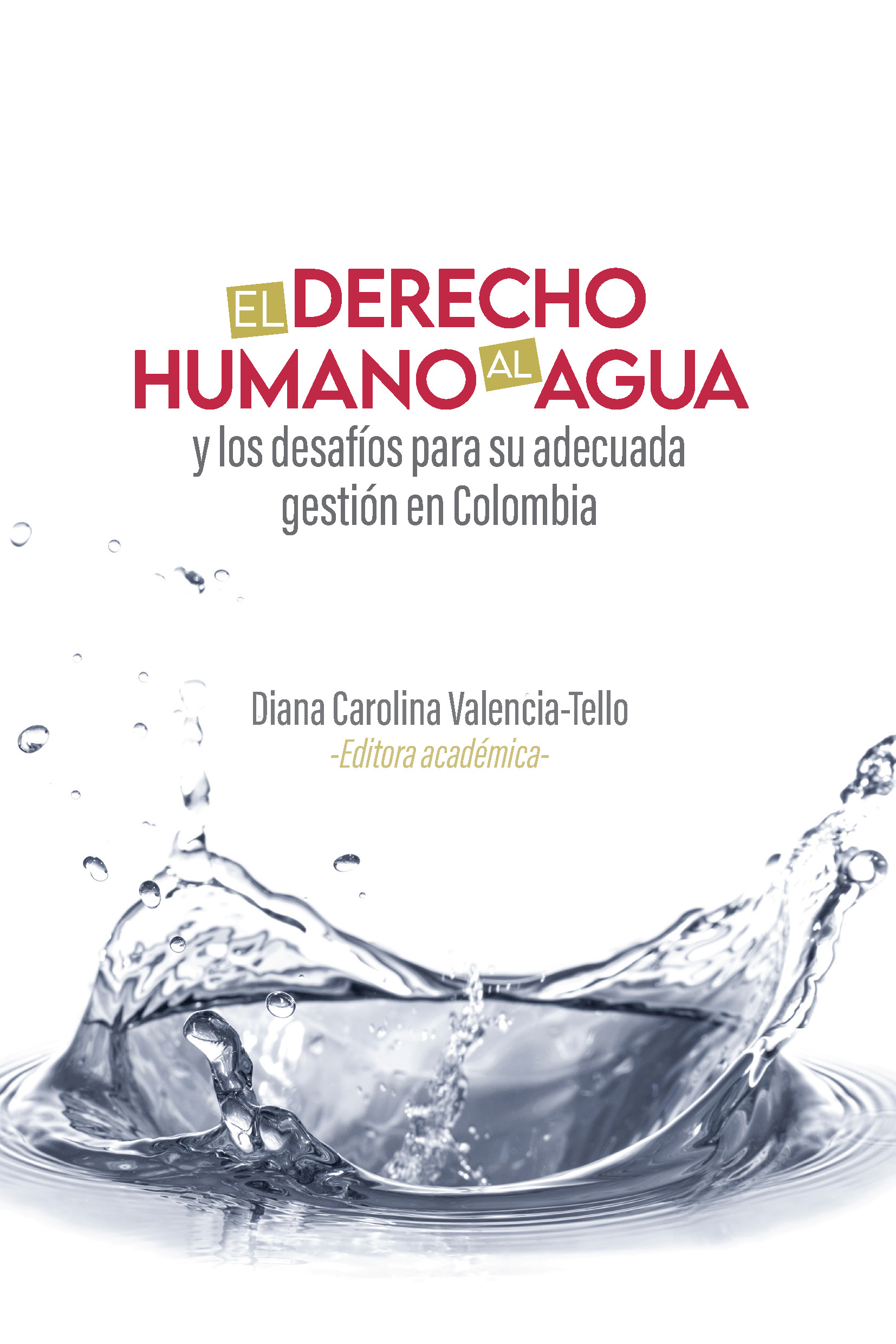 Imagen de portada del libro El derecho humano al agua y los desafíos para su adecuada gestión en Colombia